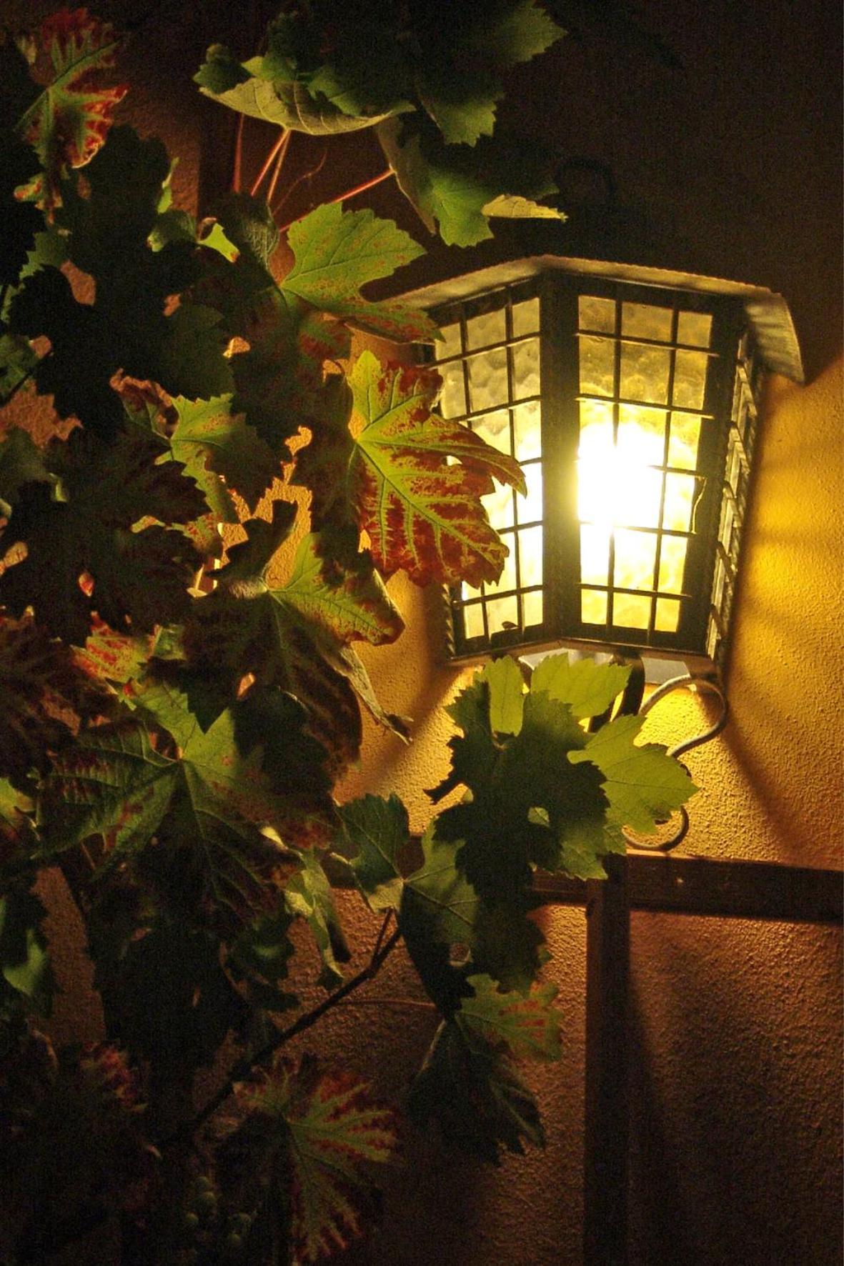 Hotel Elbschloesschen Refugium Pirna Zewnętrze zdjęcie